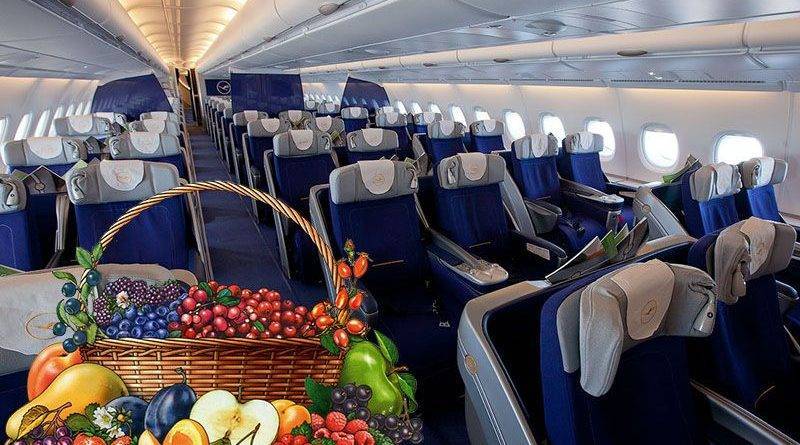 Провозить фрукты в самолете. Самолет с фруктами. Фрукты и овощи в самолет. Яблоки и самолеты. Перевозка фруктов на самолете.