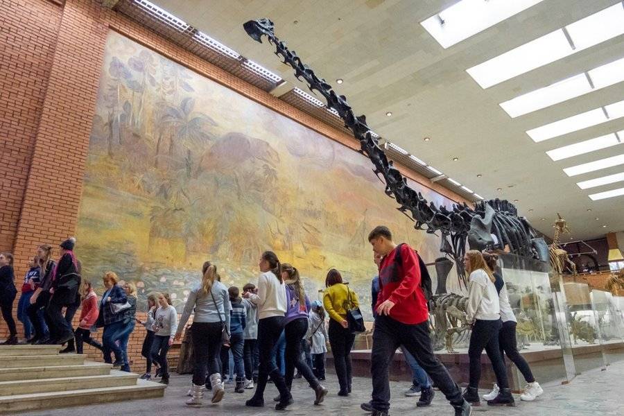 Бесплатные музеи для школьников в москве. Бесплатно посетить музей в Москве. Бесплатное посещение музеев в Москве. Москва глазами школьника музей. Бесплатные музеи 1 февраля.