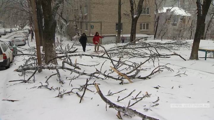 Разглядеть обездоленный разгребать. Последствия циклона в Приморье сегодня. Разгребу.