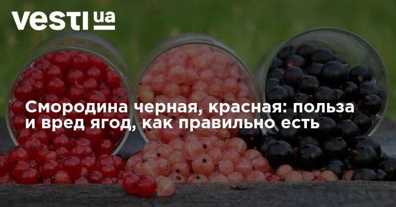 Ягоды вред. Водка смородиновый чем польза и вред для здоровья.