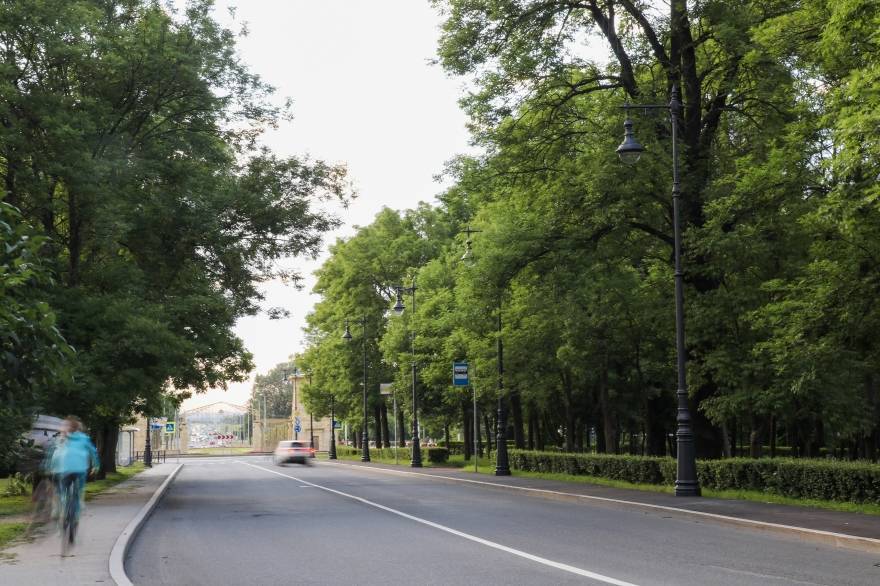 Пушкин московская улица. Пересечение Дворцовой и Московской улиц в Пушкине. Площадка на Дворцовой улице Пушкин. Город Пушкин освещение.