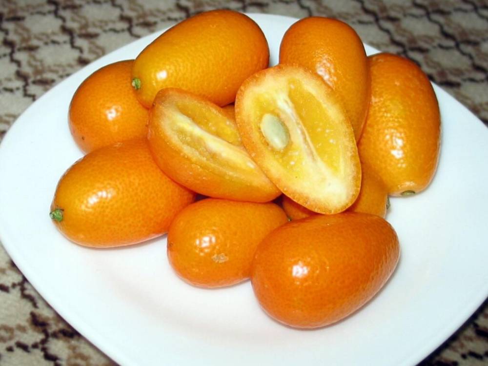 Оранжевый фрукт похожий. Кумкват оранжевый. Кумкват Абхазский. Кинкан японский.
