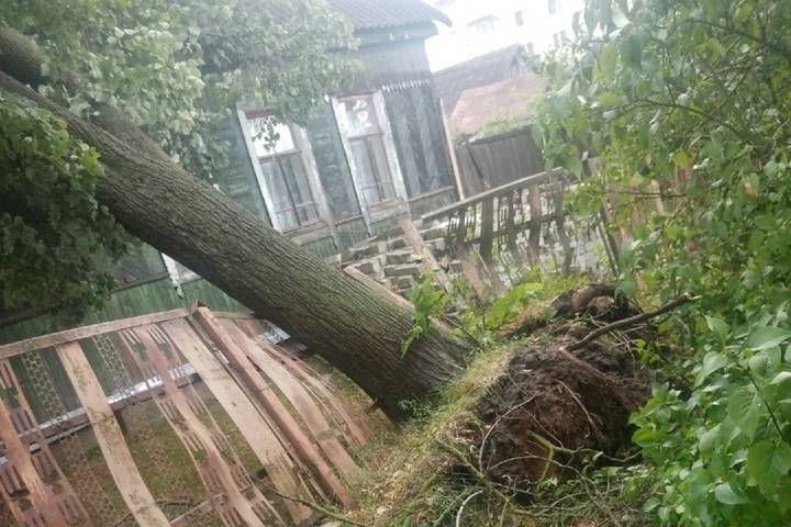 Дерево попали. Ураган в Брянске. Ураган в Брянске вчера. Ураган в Москве 2021. Последствия урагана в Брянске.