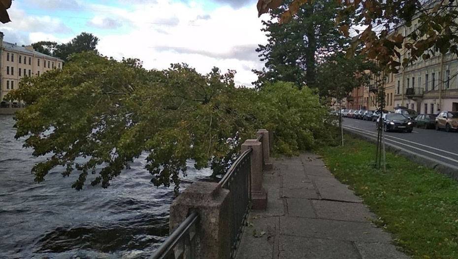 В питере прошел ураган. Ураган в Петербурге. Шторм в Санкт-Петербурге. Шторм в Питере. Ураган в СПБ.