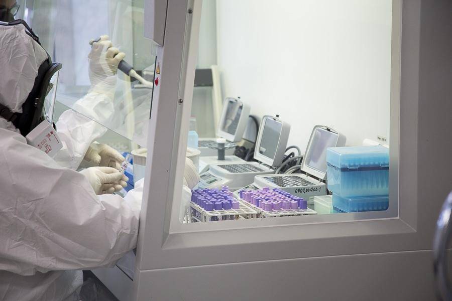 Коронавирус штамм сейчас. Лаборатория Новосибирск. Лаборатория по коронавирусу. Симптомы новейшего коронавируса. Коронавирус лаборатория.