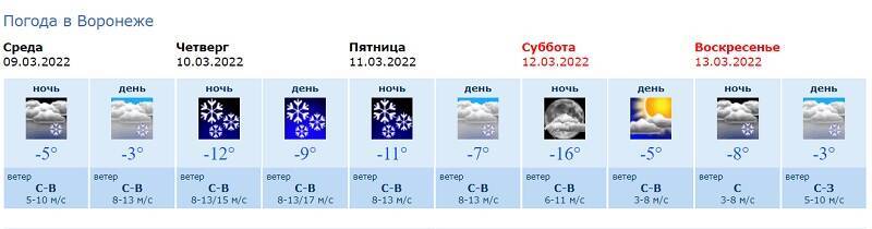 Погода на декабрь воронеж. Погода в Воронеже в марте.