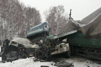 В Новосибирской области в ДТП с тремя грузовиками погиб один водитель - runews24.ru - Новосибирская обл. - район Мошковский
