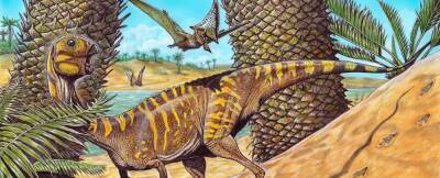 В Бразилии был обнаружен крошечный беззубый динозавр - techno.bigmir.net - Бразилия