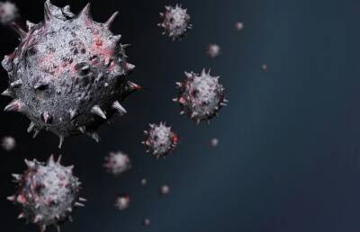 Врач из ЮАР назвала симптомы заражения омикрон-штаммом коронавируса - ont.by - Белоруссия - Юар