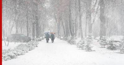Роман Вильфанд - Морозы до -20°C и частые оттепели прогнозируют зимой в Европейской России - profile.ru - Россия