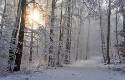 Роман Вильфанд - Вильфанд рассказал, какая погода будет в первый день зимы - 7info.ru - Россия - Рязань
