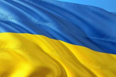 В СБУ осторожно прокомментировали дело о подготовке госпереворота на Украине - mk.ru - Украина
