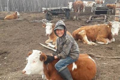Владимир Путин - Попросивший корову у Путина якутский мальчик дождался ее - lenta - Россия