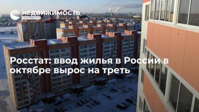 Росстат: ввод жилья в России в октябре вырос на треть - realty.ria.ru - Москва - Россия