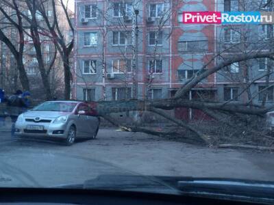 Стало известно, когда ураганный ветер покинет Ростовскую область - privet-rostov.ru - Турция - Ростовская обл.