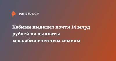 Владимир Путин - Михаил Мишустин - Кабмин выделил почти 14 млрд рублей на выплаты малообеспеченным семьям - ren.tv - Россия