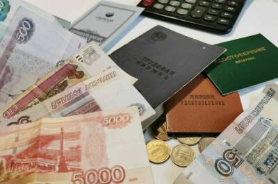 Андрей Пудов - Совет Федерации одобрил закон об ожидаемом периоде выплаты накопительной пенсии - pnp