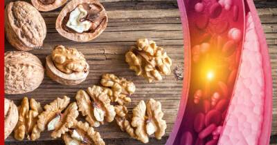 Как снизить уровень холестерина: о пользе популярного ореха рассказали ученые - profile.ru - США