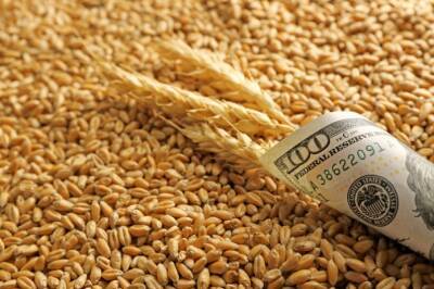 Экспорт зерна из Украины отстает более чем на 5 млн т от прошлого года - agroportal.ua - Украина