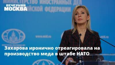 Мария Захарова - Захарова иронично отреагировала на производство меда в штабе НАТО - vm - Россия - Брюссель