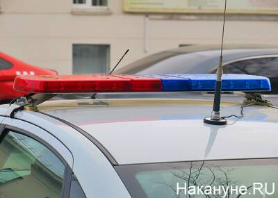 В ДТП с фурами на трассе М-5 в Челябинской области погибли два человека - nakanune - Челябинская обл.