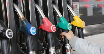 Украинские сети АЗС подняли цены на бензин и дизель: где топливо продают дешевле - focus.ua - Украина