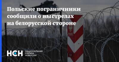 Анна Михальская - Польские пограничники сообщили о выстрелах на белорусской стороне - nsn - Белоруссия - Польша