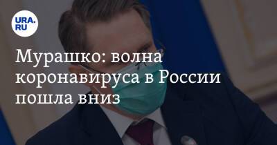 Михаил Мурашко - Мурашко: волна коронавируса в России пошла вниз - ura.news - Россия