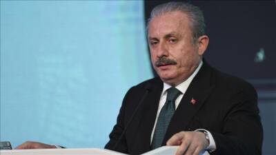 Александр Лукашенко - Мустафа Шентоп - Турция объяснила поддержку Польши в конфликте с Белоруссией из-за мигрантов - eadaily - Белоруссия - Турция - Польша - Варшава