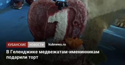 В Геленджике медвежатам-именинникам подарили торт - kubnews.ru - Геленджик