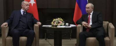 Владимир Путин - Тайип Эрдоган - Путин провел телефонный разговор с турецким лидером Эрдоганом - runews24.ru - Россия - Сирия - Украина - Турция - Ливия