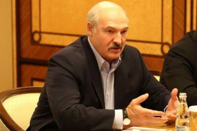 Александр Лукашенко - Лукашенко подписал директиву о развитии отношений с КНР до 2025 года - aif - Китай - Белоруссия