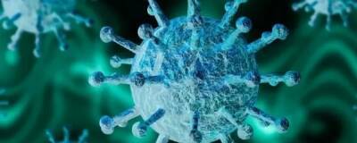 «Омикрон» приобрел одну из своих мутаций от вируса, вызывающего простуду - runews24.ru - Юар - Ботсвана