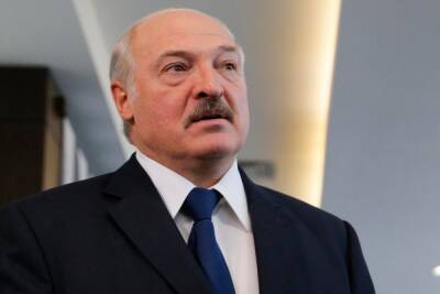 Александр Лукашенко - Лукашенко назвал процент оппозиционеров в Белоруссии - mk.ru - Белоруссия