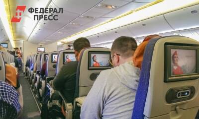 Владимир Путин - Авиаперевозчикам разрешили применять силу против дебоширов - fedpress.ru - Москва