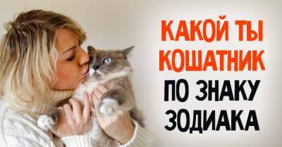 Кто из знаков зодиака больше всего любит кошек, а кто совершенно равнодушен к пушистикам - skuke.net