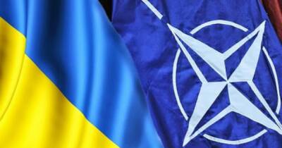 Владимир Путин - Йенс Столтенберг - Членство Украины в НАТО вряд ли будет одобрено в ближайшие 10 лет, – СМИ - dsnews.ua - Россия - США - Украина