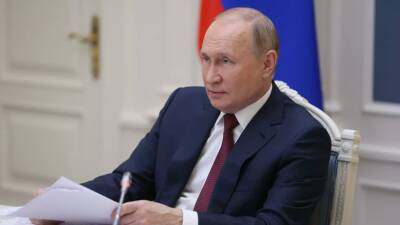 Владимир Путин - Путин обратил внимание СПЧ на случаи утечек персональных данных - russian - Москва - Россия