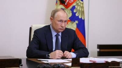 Владимир Путин - Анатолий Альтштейн - Путин и президент ЮАР провели переговоры - russian - Россия - Юар