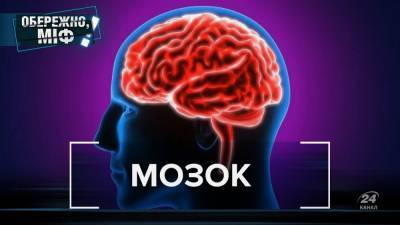 Мозг не стареет, а нервные клетки восстанавливаются: опровержение популярных мифов - 24tv.ua - Новости