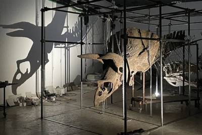 Самый большой в мире скелет трицератопса выставлен на аукцион - techno.bigmir.net