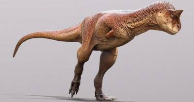 Бык с чешуей. Палеонтологи реконструировали одного из самых странных динозавров - focus.ua - Украина - Аргентина