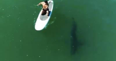 Орландо Блум - Кэти Перри - Полуобнаженный Орландо Блум прокатился на сапе с белой акулой - ren.tv - Англия