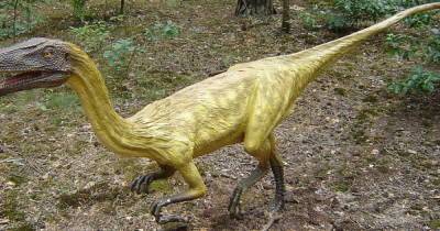 Как люди машут руками. Ученые выяснили, как динозавры использовали хвост при ходьбе - focus.ua - Украина