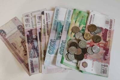 В Хабаровском крае средняя зарплата госслужащих в 2020 году превысила 77 тысяч рублей - hab.mk.ru - Хабаровский край
