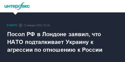 Андрей Келин - Посол РФ в Лондоне заявил, что НАТО подталкивает Украину к агрессии по отношению к России - interfax - Москва - Россия - США - Украина - Грузия - Лондон - Польша - Апсны - респ. Южная Осетия