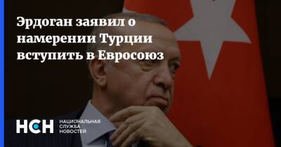 Реджеп Тайип Эрдоган - Эрдоган - Президент - Эрдоган заявил о намерении Турции вступить в Евросоюз - nsn - Турция