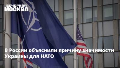 Андрей Келин - В России объяснили причину значимости Украины для НАТО - vm - Москва - Россия - США - Украина - Англия