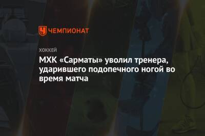МХК «Сарматы» уволил тренера, ударившего подопечного ногой во время матча - championat.com