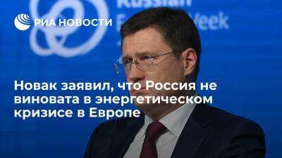 Александр Новак - Фатих Бироль - Вице-премьер Новак заявил, что Россия и "Газпром" не виноваты в энергокризисе в Европе - ria - Москва - Россия - США - Катар - Европа